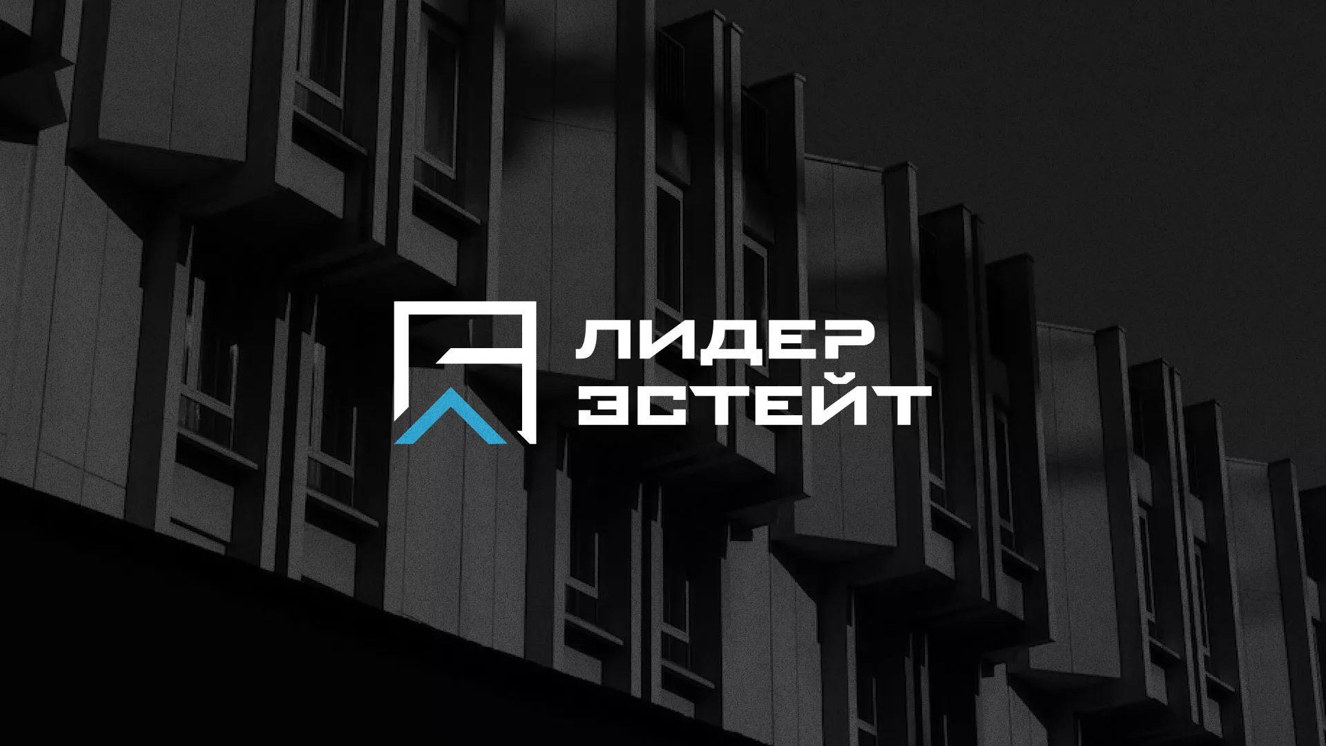 Разработка логотипа агентства недвижимости «Лидер Эстейт» в Каменск-Шахтинске